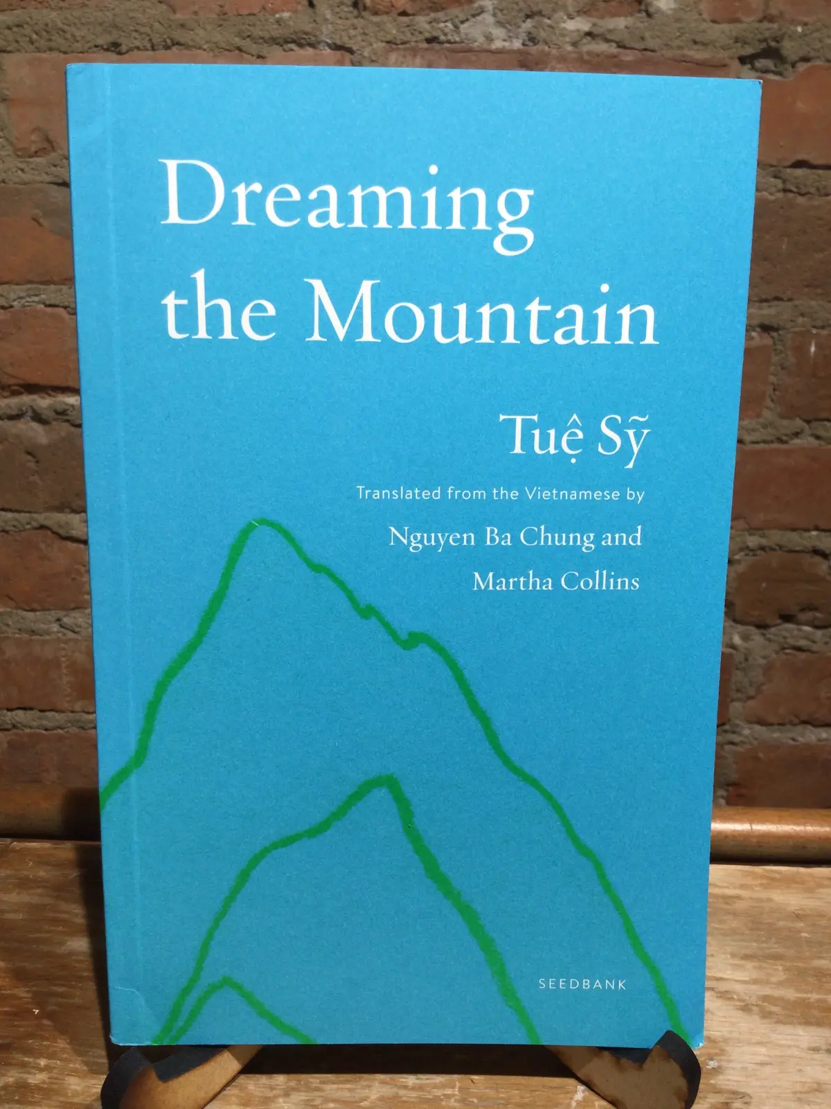 Sỹ, Tuệ Dreaming The Mountain [Used Paperback] 1