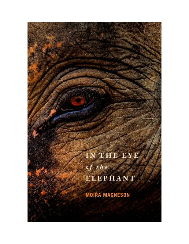 Magneson, Moira: In The Eye Of The Elephant 1