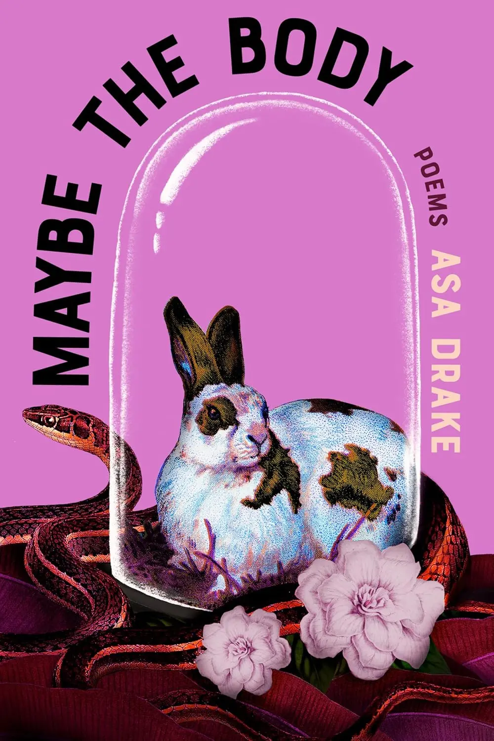 Drake, Asa: Maybe The Body 1