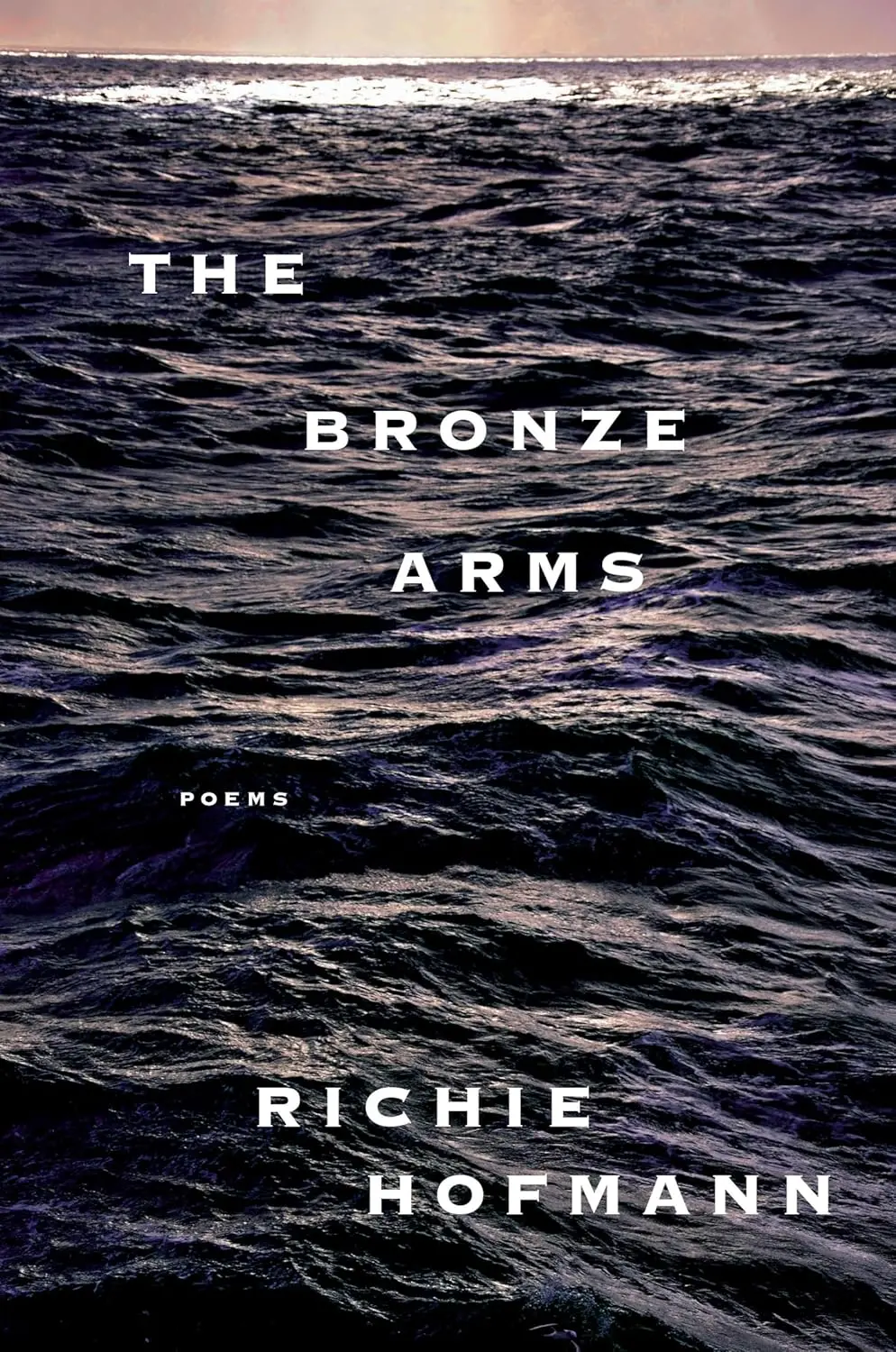 Hofmann, Richie: The Bronze Arms (Hb) 1
