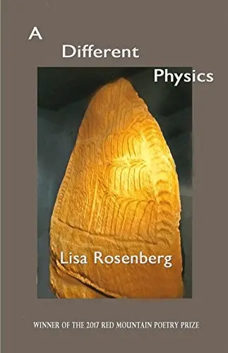 Rosenberg, Lisa: A Different Physics 1