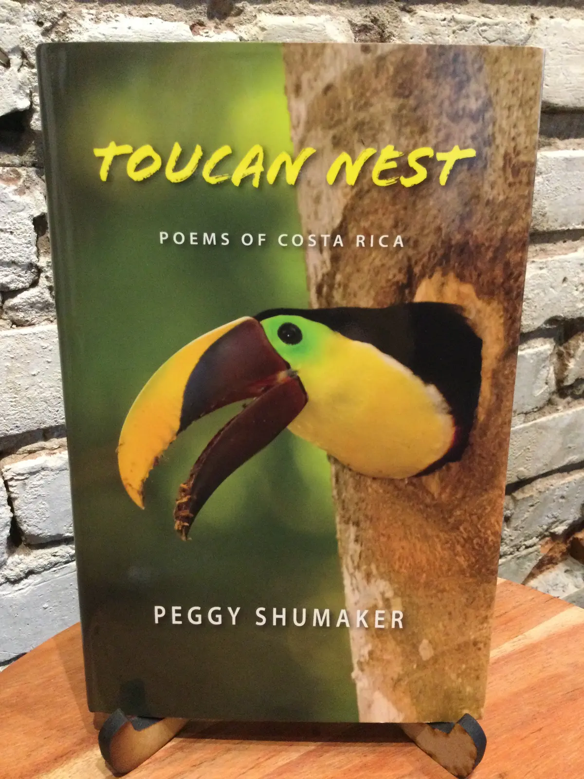 Shumaker, Peggy: Toucan Nest [Used Hardcover] 1