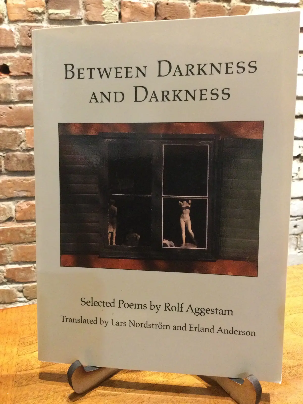 [Rare] Aggestam, Rolf: Between Darkness And Darkness [Used Paperback] 1