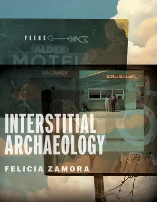 Zamora, Felicia: Interstitial Archaeology 1