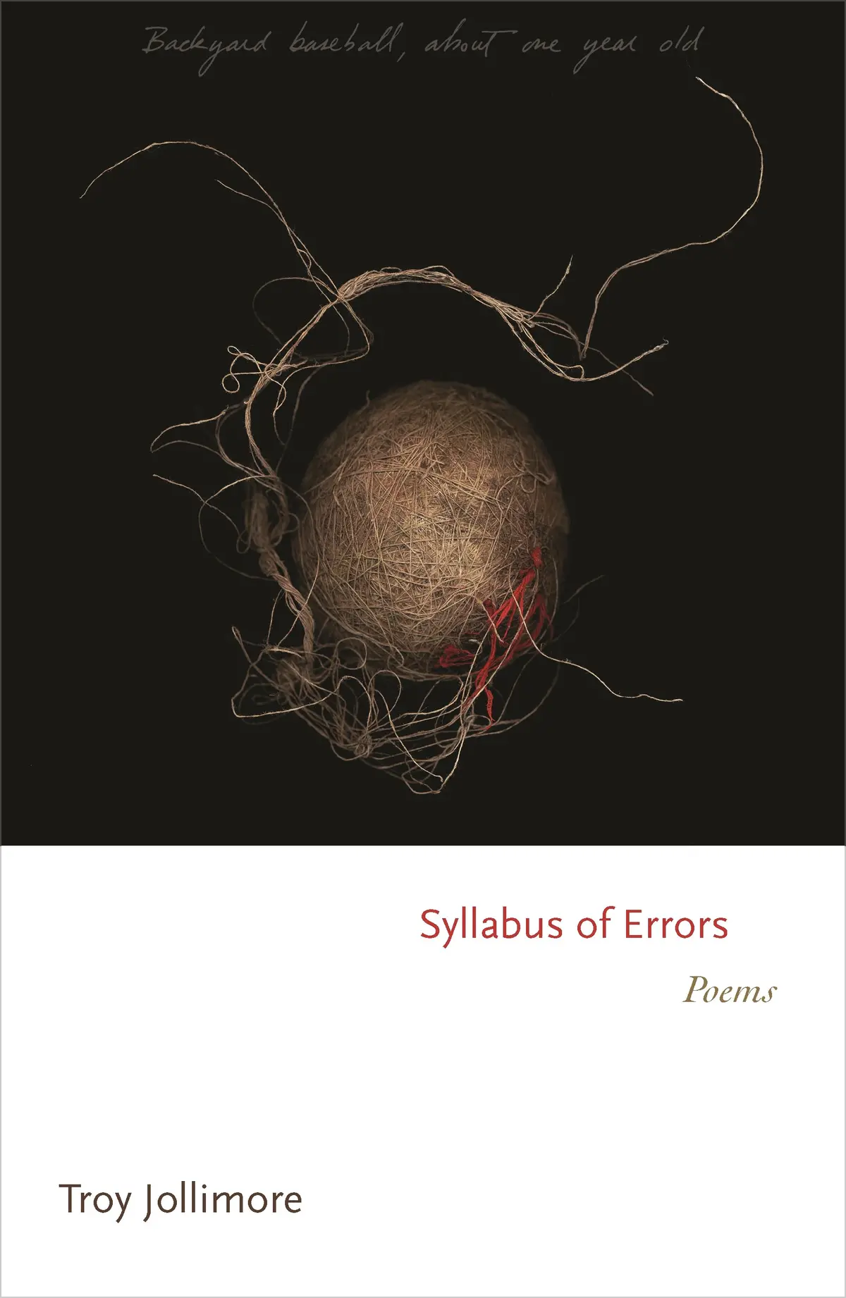 Jollimore, Troy A.: Syllabus Of Errors 1