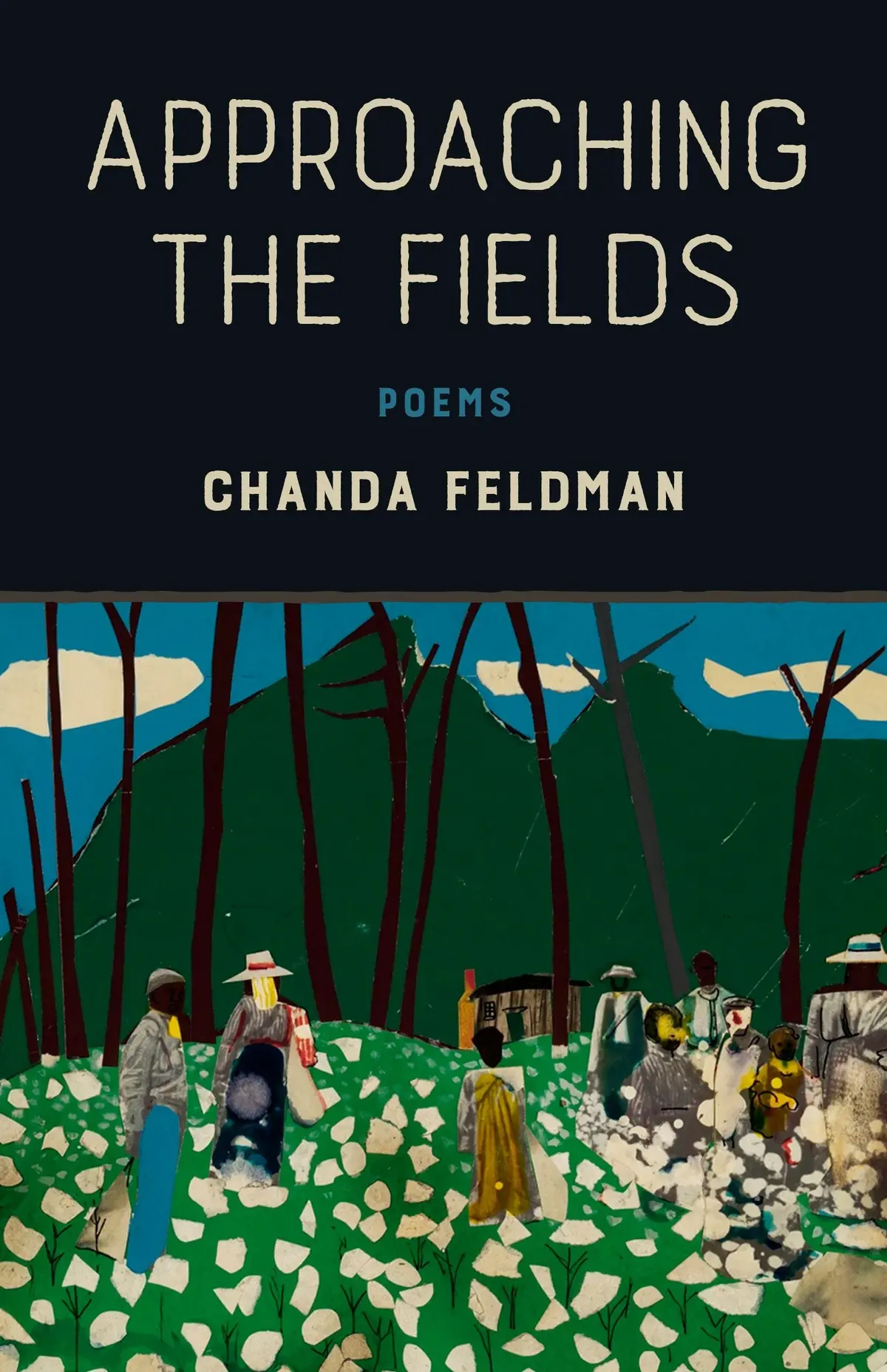 Feldman, Chanda: Approaching The Fields 1