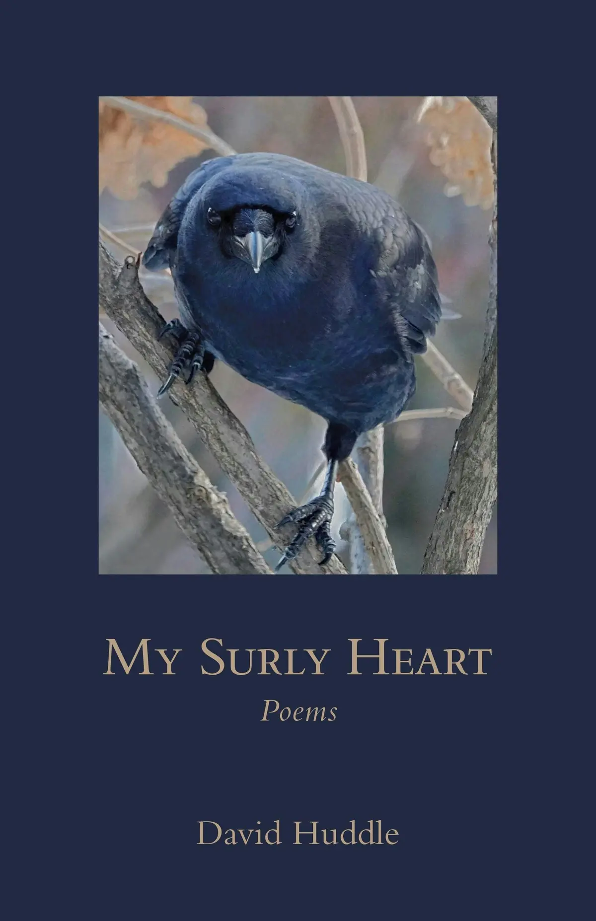 Huddle, David: My Surly Heart 1