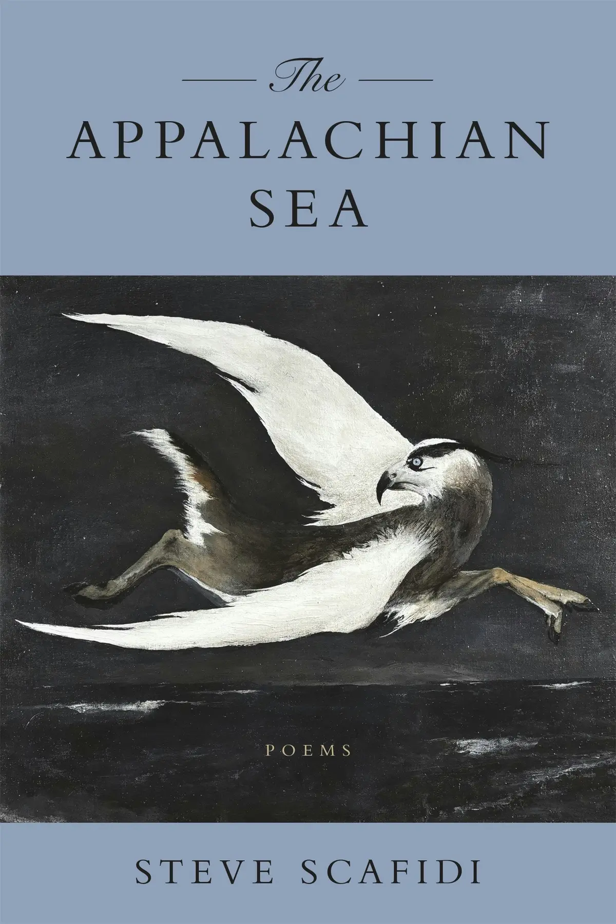 Scafidi, Steve: Appalachian Sea 1