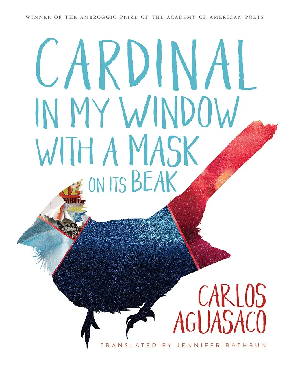 Aguasaco, Carlos: Cardinal In My Window With A Mask On Its Beak 1
