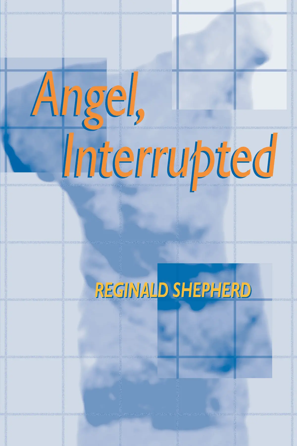 Shepherd, Reginald: Angel, Interrupted 1