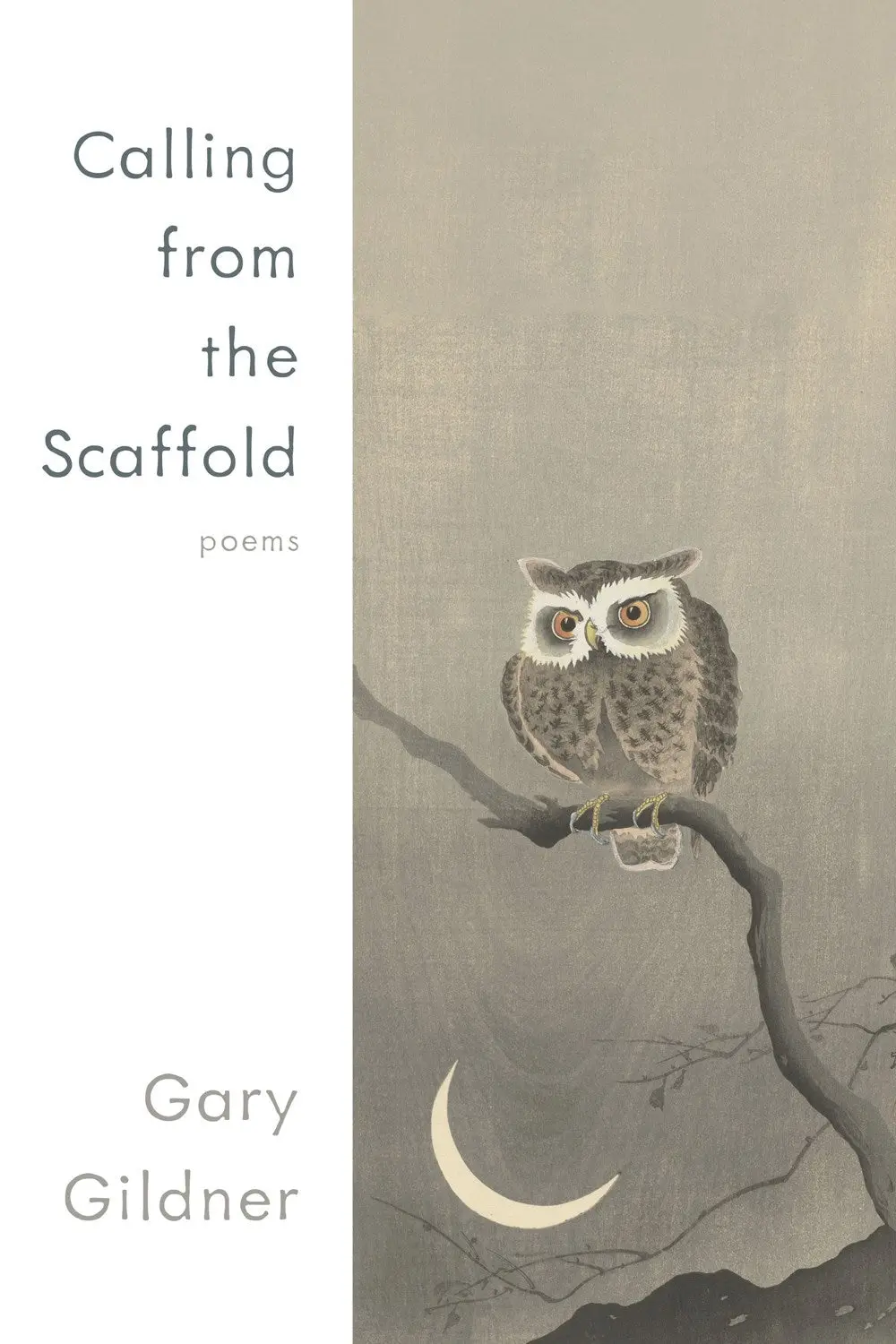 Gildner, Gary: Calling From The Scaffold 1