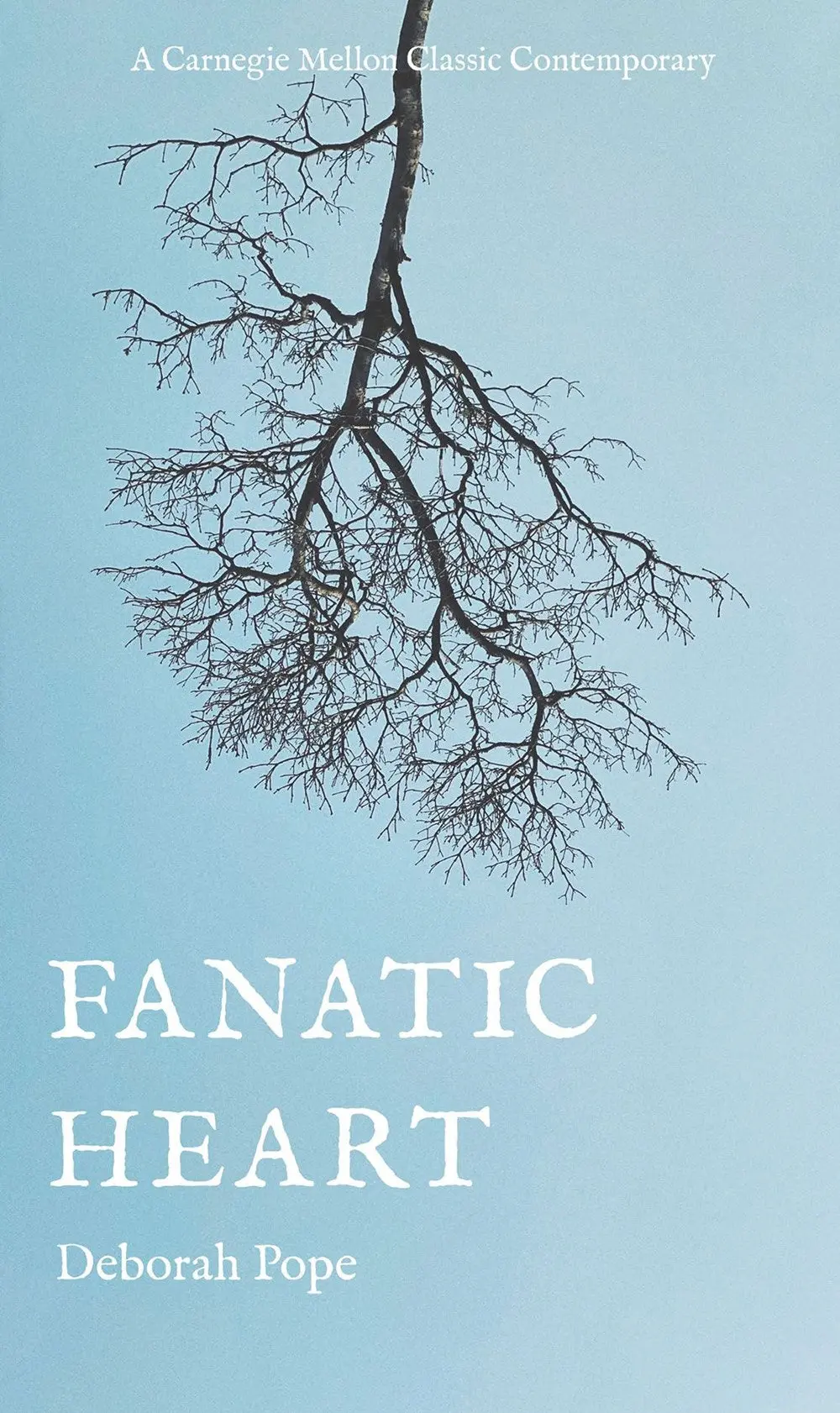Pope, Deborah: Fanatic Heart 1