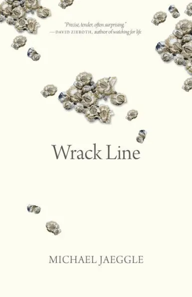 Jaeggle, M. W.: Wrack Line 1
