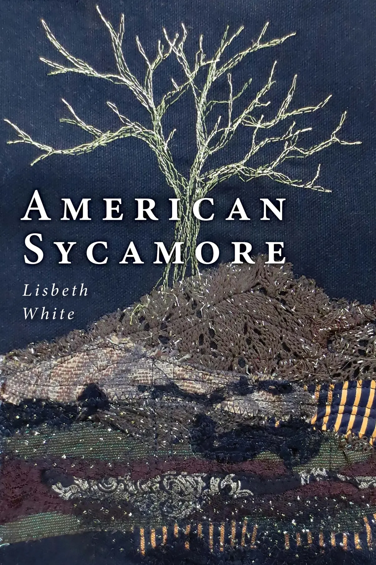 White, Lisbeth: American Sycamore 1