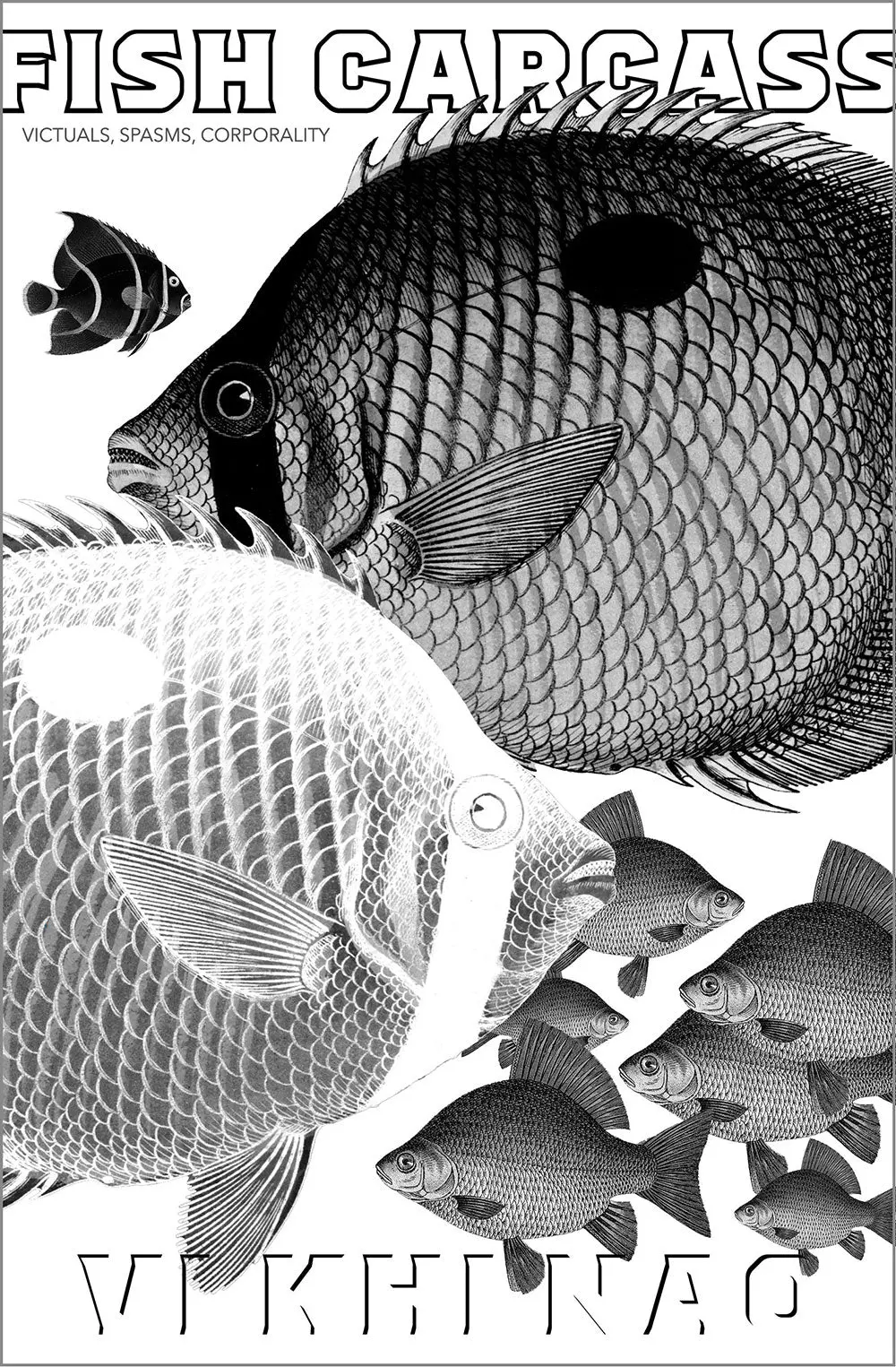 Nao, Vi Khi: Fish Carcass 1