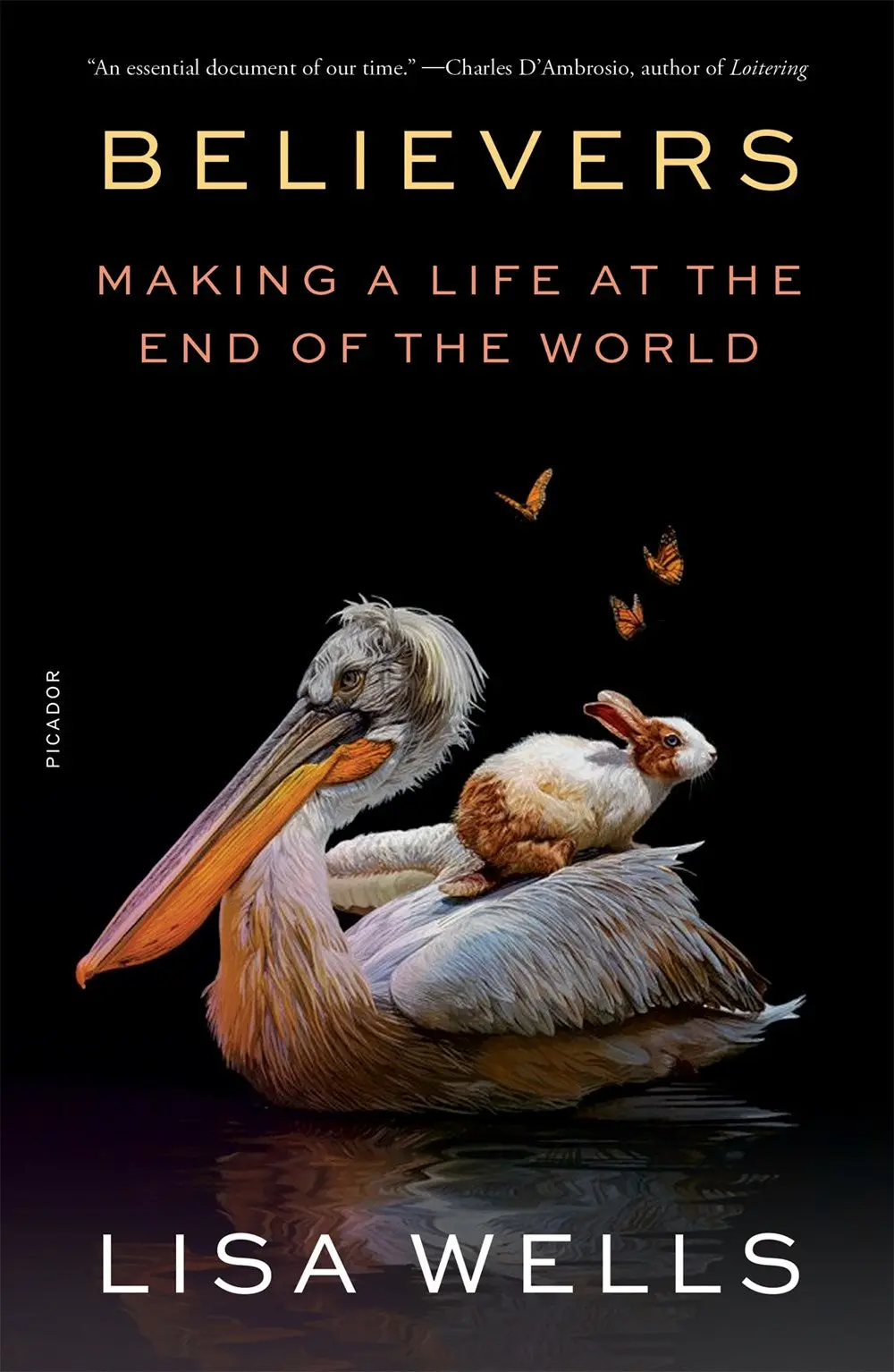 Wells, Lisa: Believers: Making A Life At The End Of The World 1