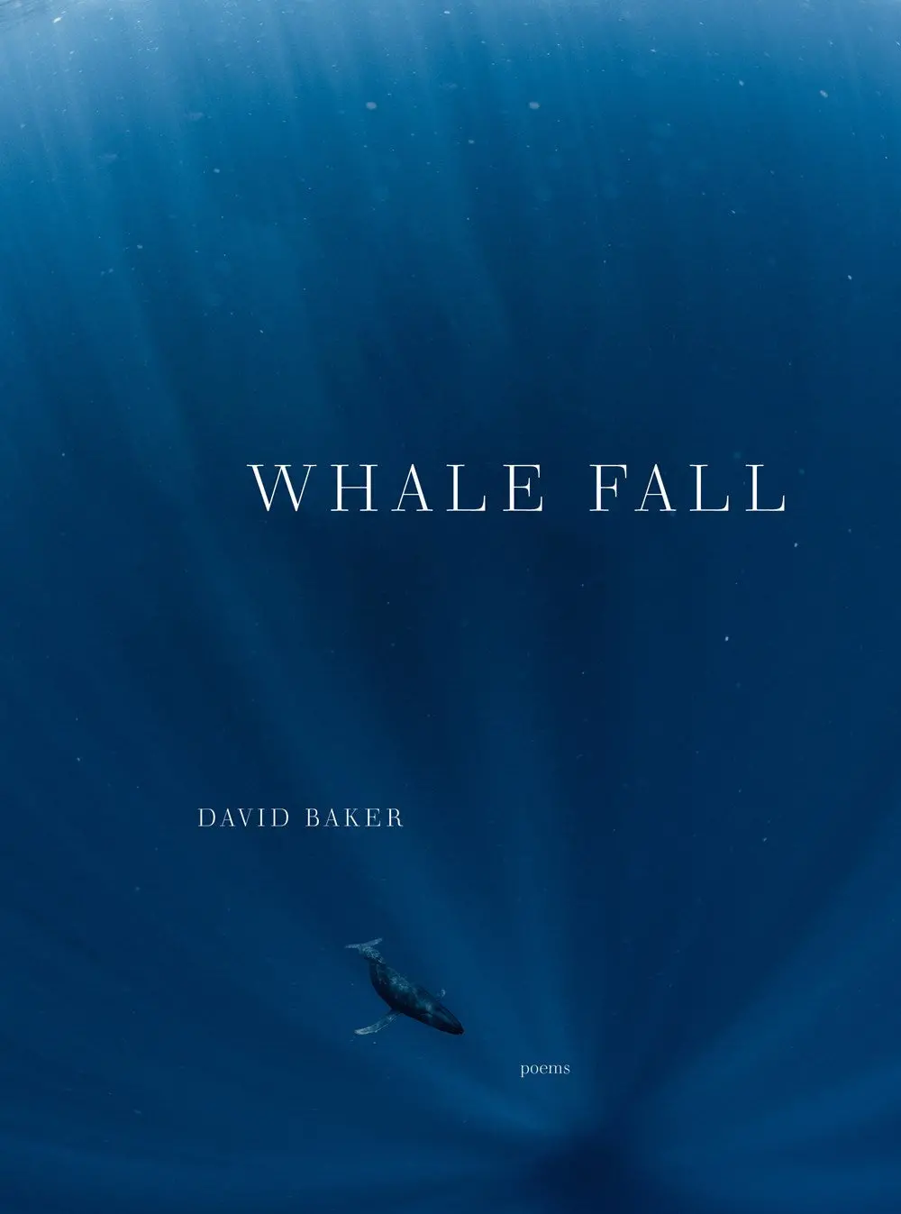 Baker, David: Whale Fall 1