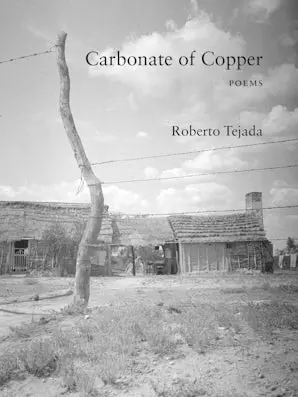 Tejada, Roberto: Carbonate Of Copper 1