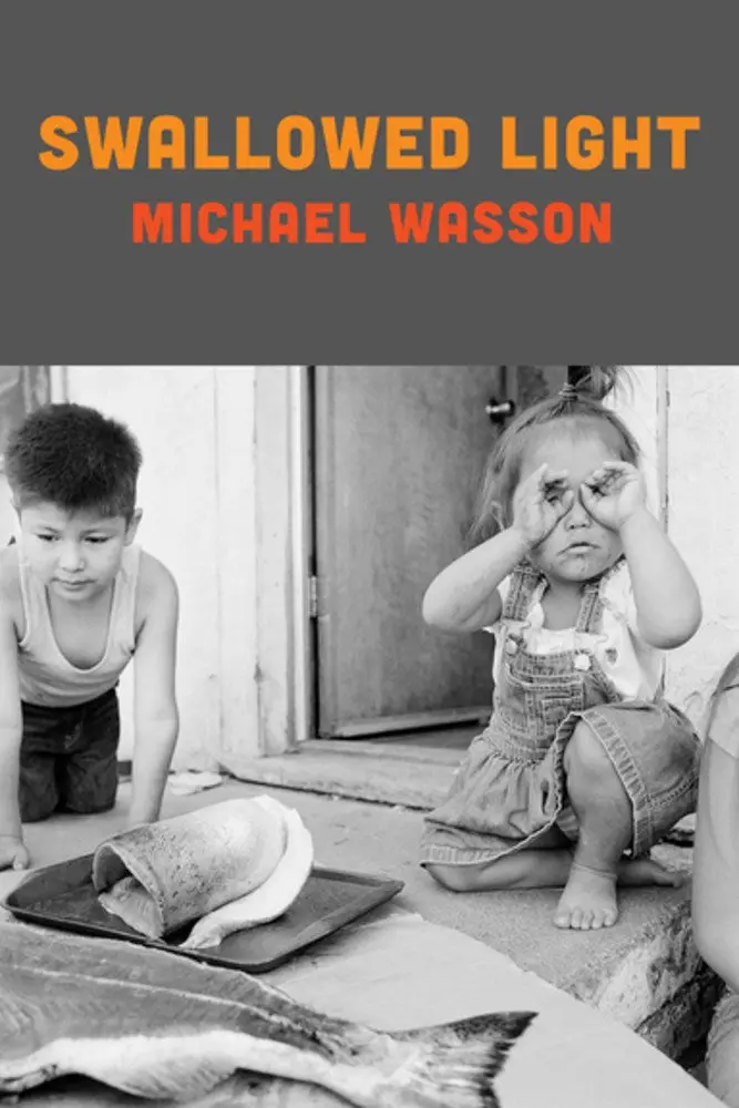 Wasson, Michael: Swallowed Light 1