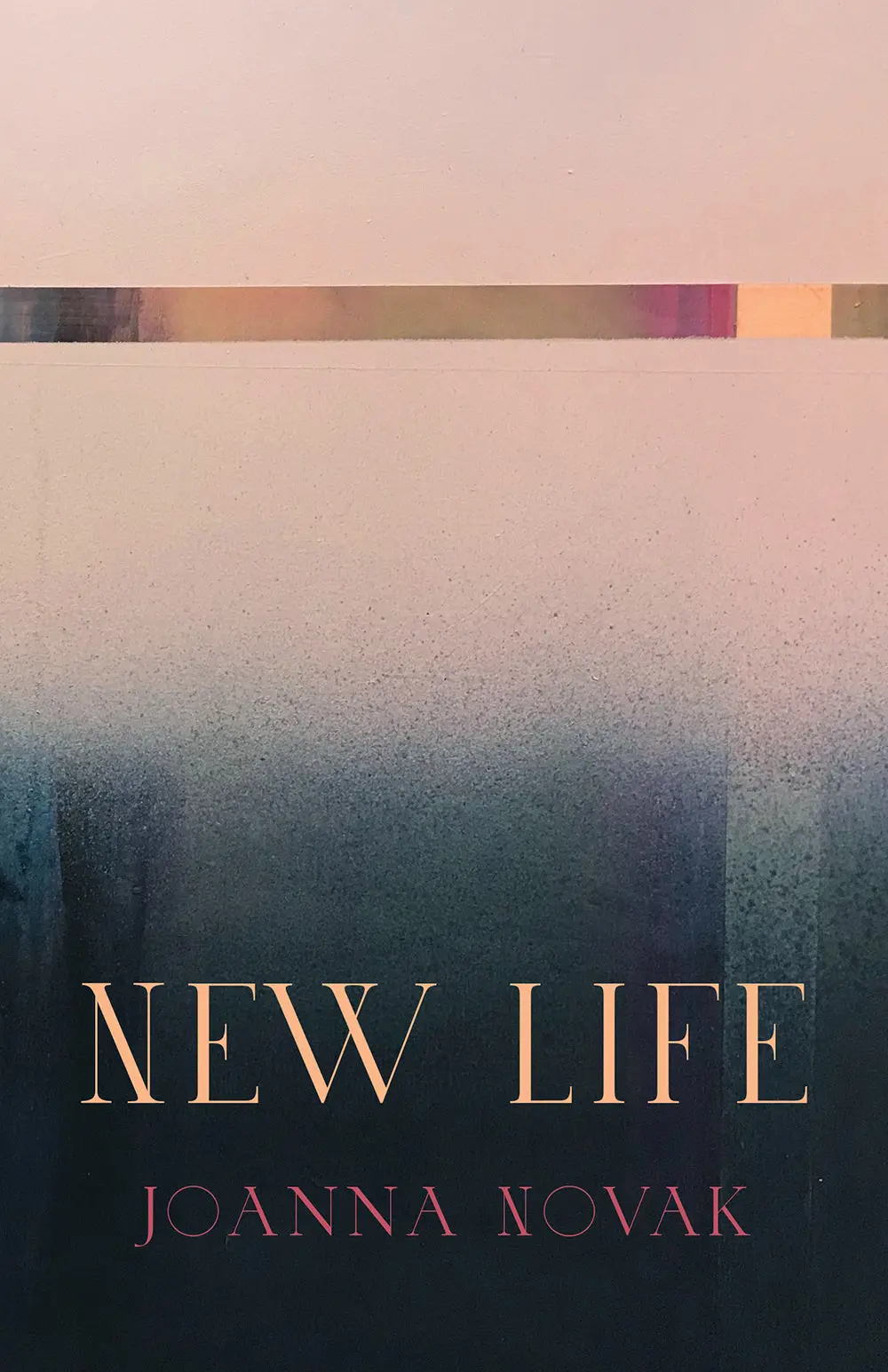 Novak, Joanna: New Life 1