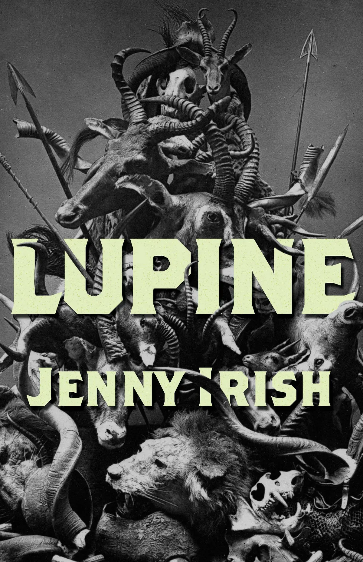 Irish, Jenny: Lupine 1