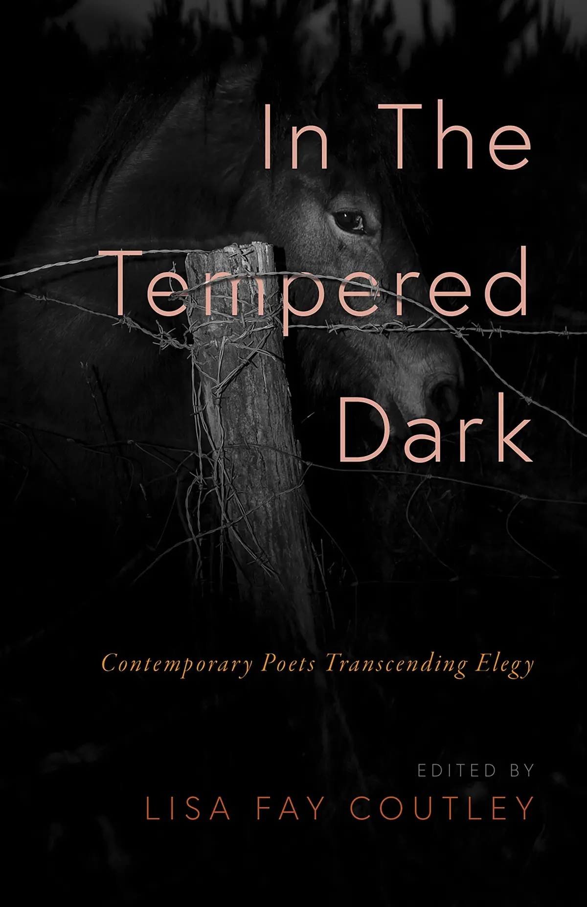 Coutley, Lisa Fay: In The Tempered Dark 1