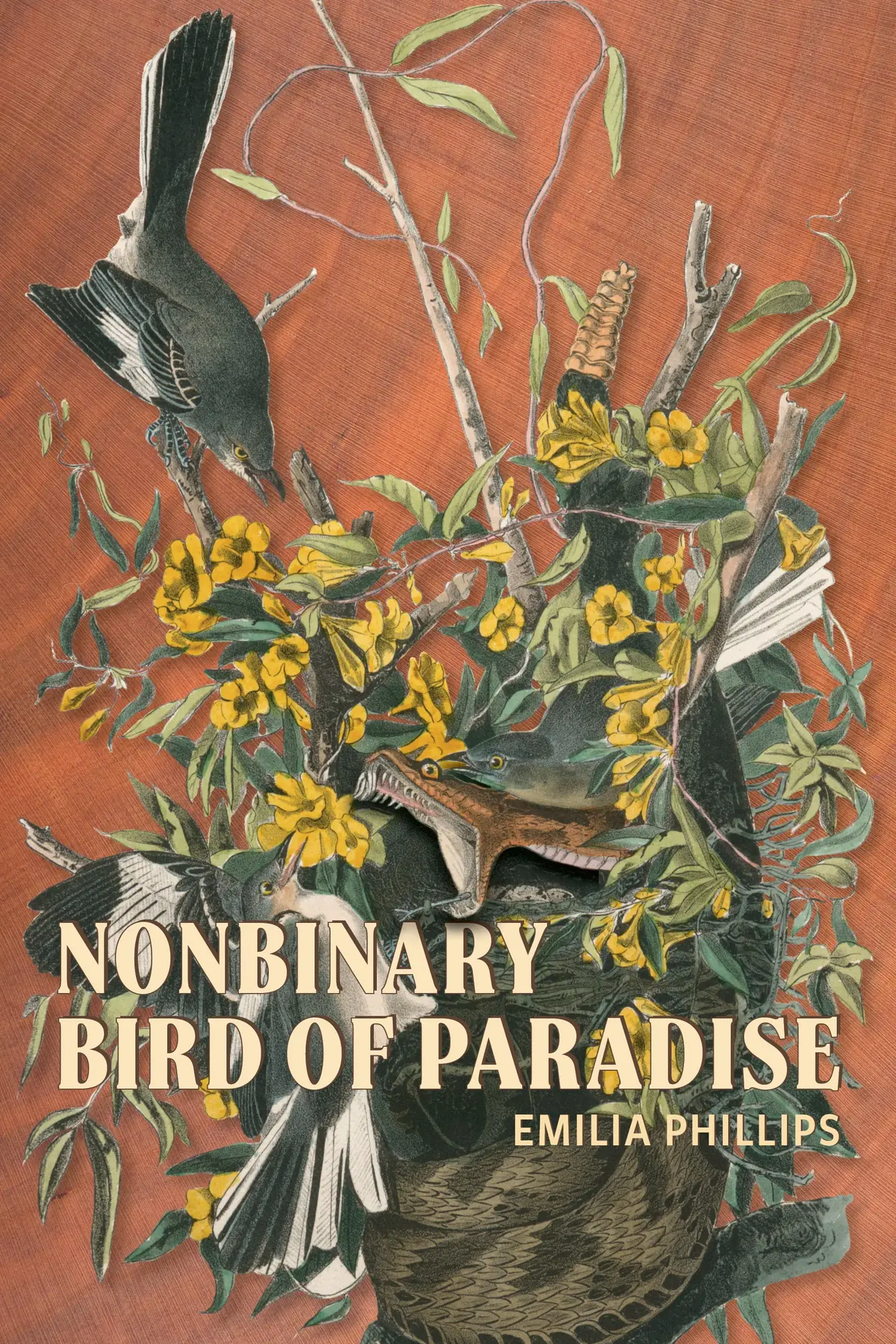Phillips, Emilia: Nonbinary Bird Of Paradise 1