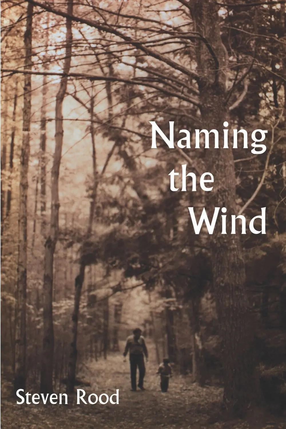 Rood, Steven: Naming The Wind 1