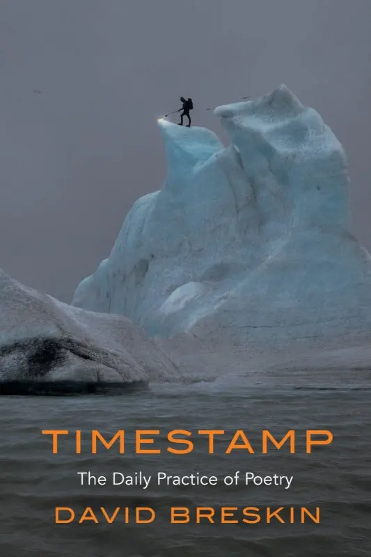 Breskin, David: Timestamp: The Daily Practice Of Poetry 1