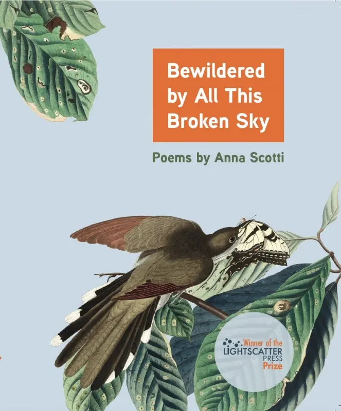Scotti, Anna: Bewildered By All This Broken Sky 1