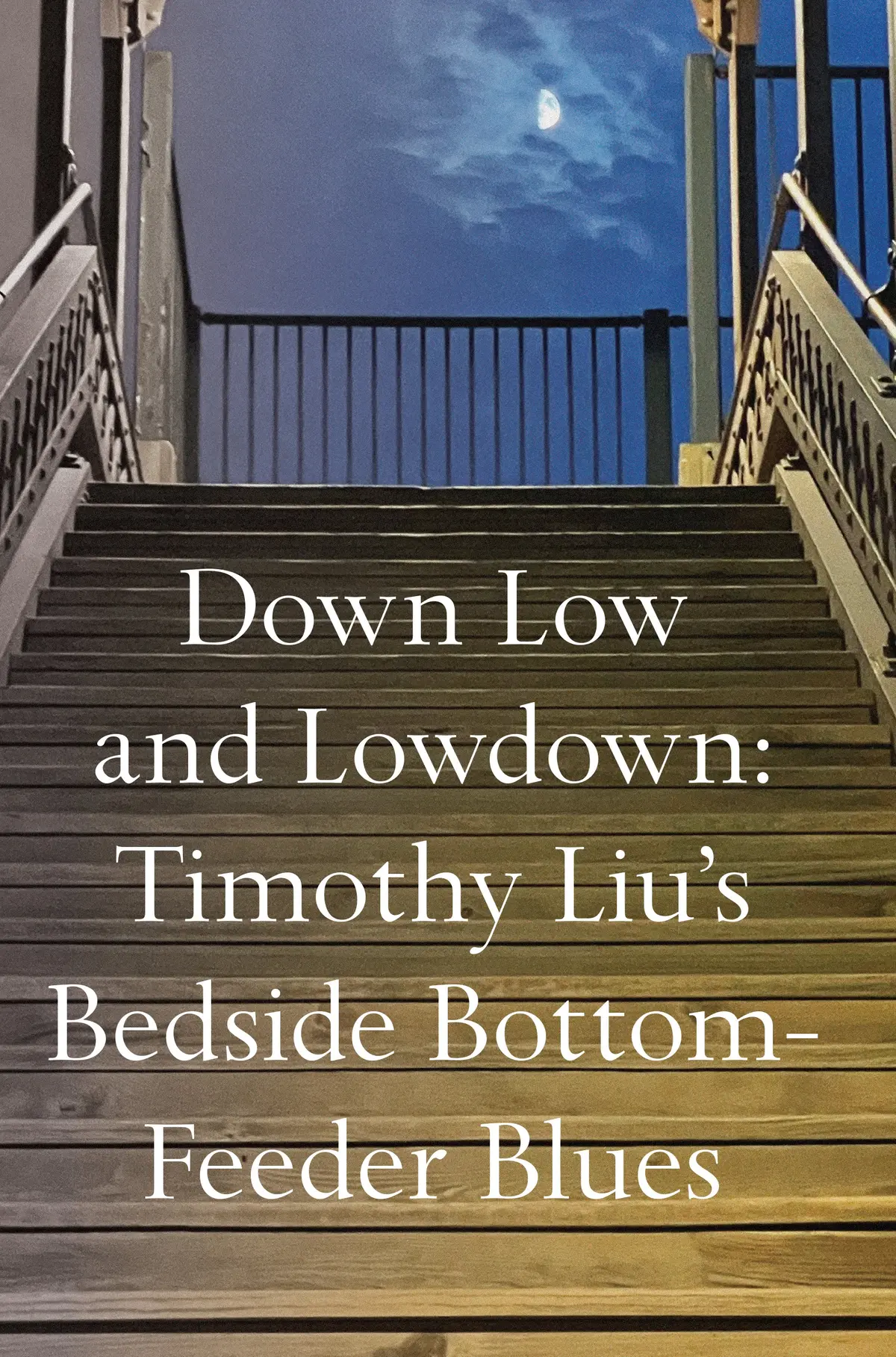 Liu, Timothy: Down Low And Low Down: Bottom Feeder Blues 1