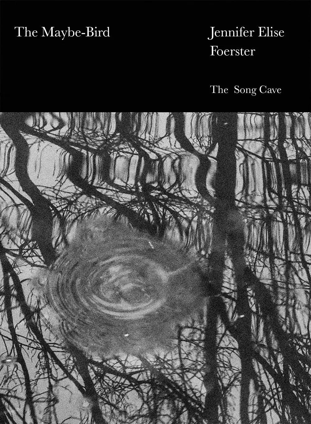 Foerster, Jennifer Elise: The Maybe-Bird 1