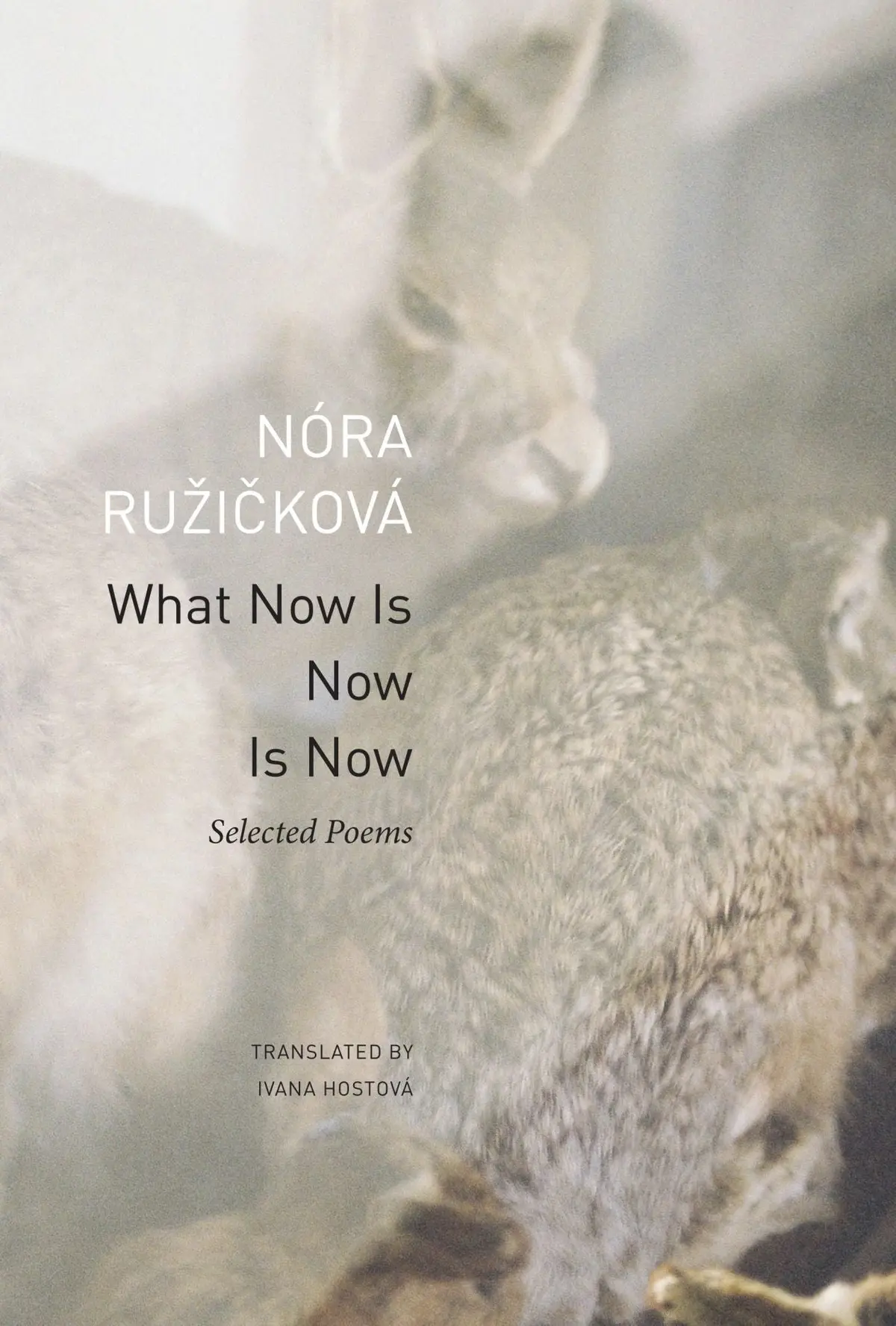 Ružicková, Nóra: What Now Is Now Is Now 1
