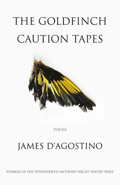 D, James: Goldfinch Caution Tapes 1
