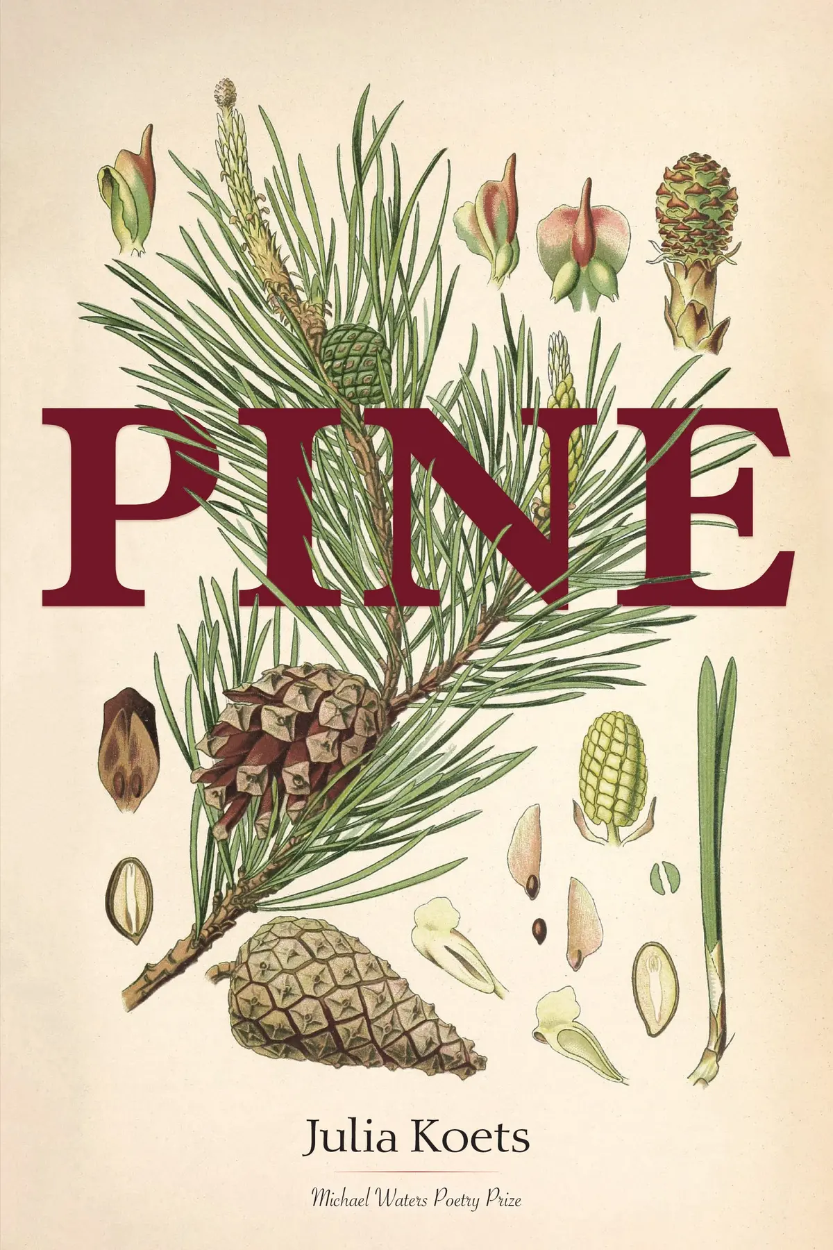 Koets, Julia: Pine 1