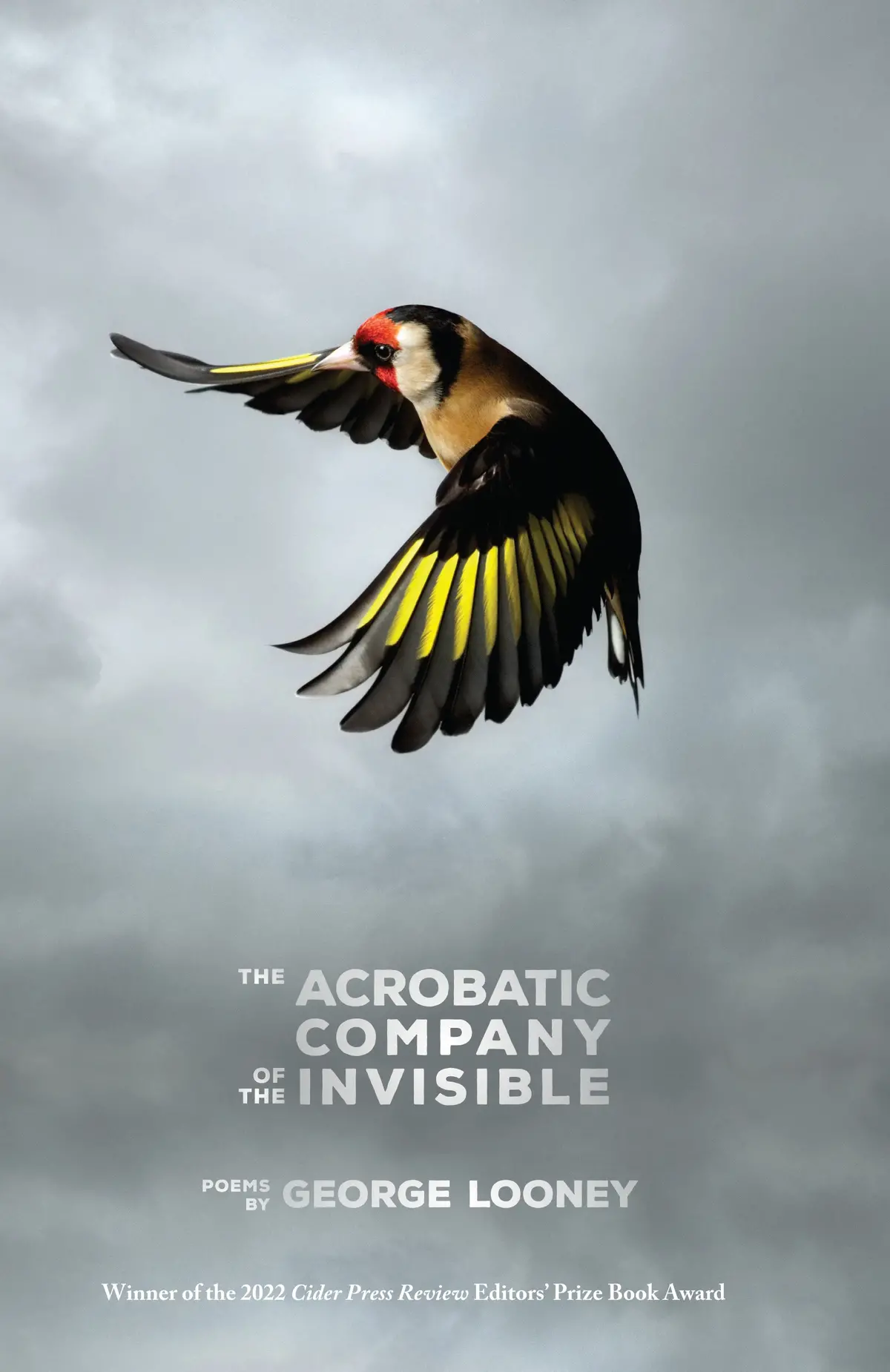 Looney, George: Acrobatic Company Of The Invisible 1
