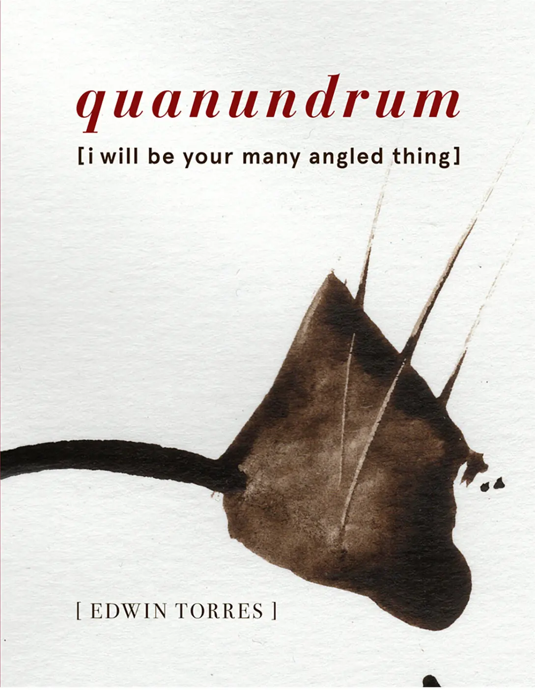 Torres, Edwin: Quanundrum [I Will Be Your Many Angled Thing] 1