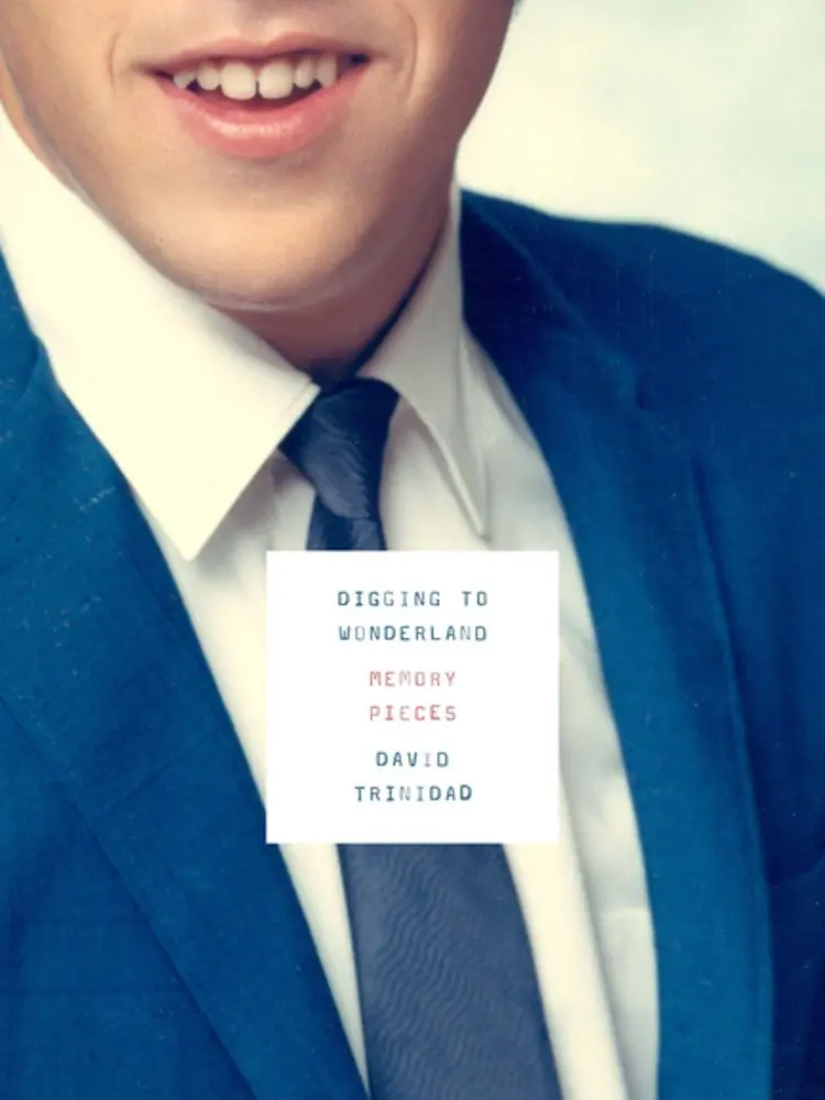 Trinidad, David: Digging To Wonderland: Memory Pieces 1