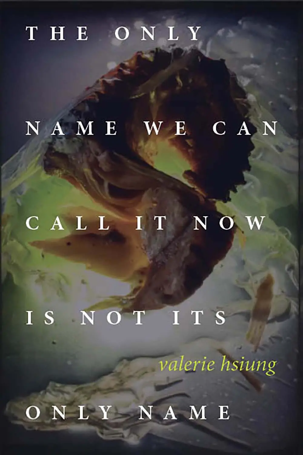 Hsiung, Valerie: Only Name We Can Call It Now Is Not Its Only Name 1