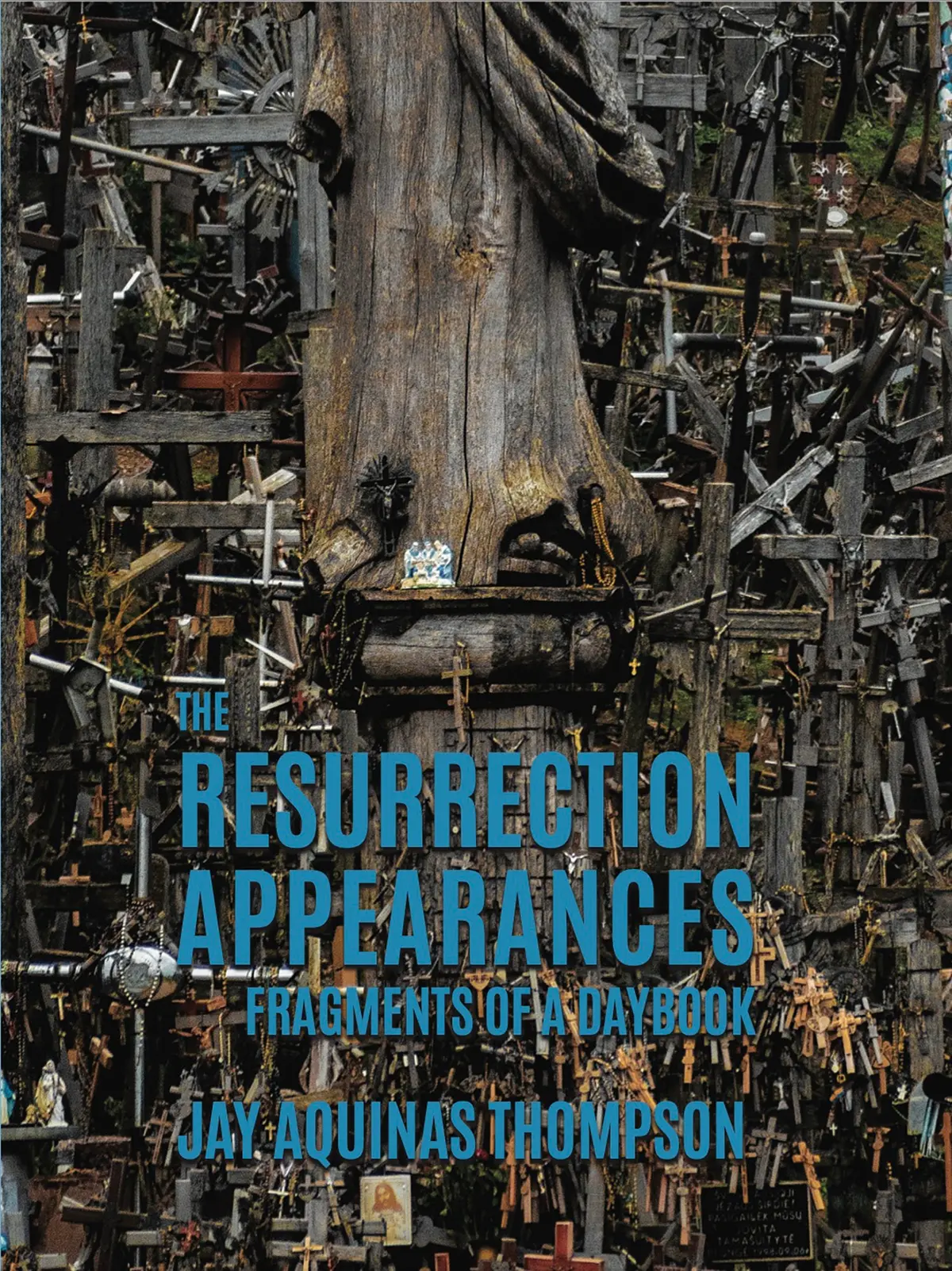 Thompson, Jay Aquinas: The Resurrection Appearances: Fragments Of A Daybook 1