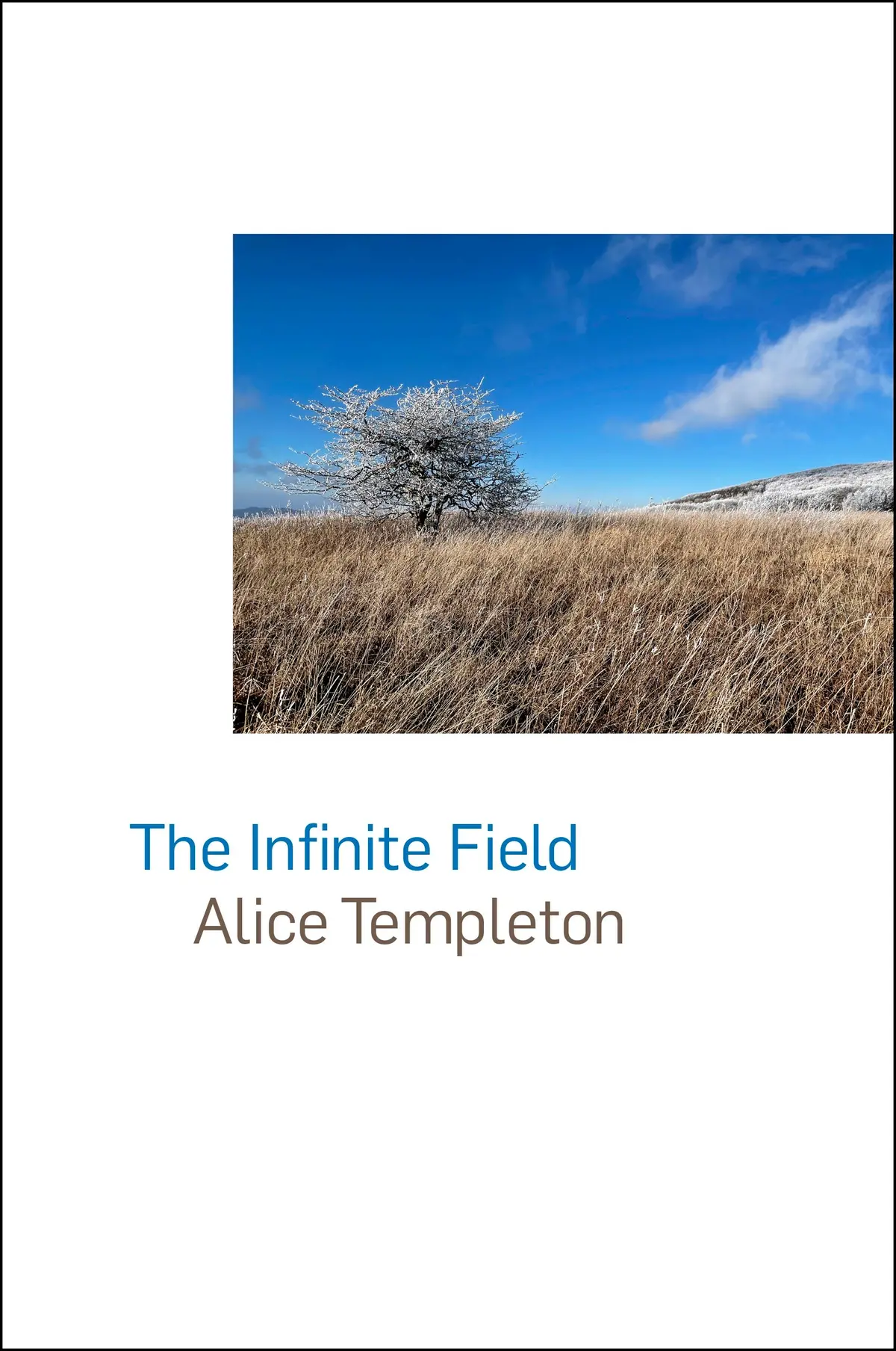 Templeton, Alice: Infinite Field 1