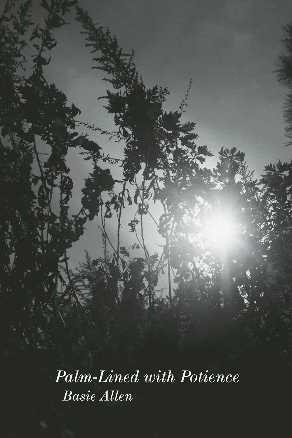 Allen, Basie: Palm-Lined With Potience 1