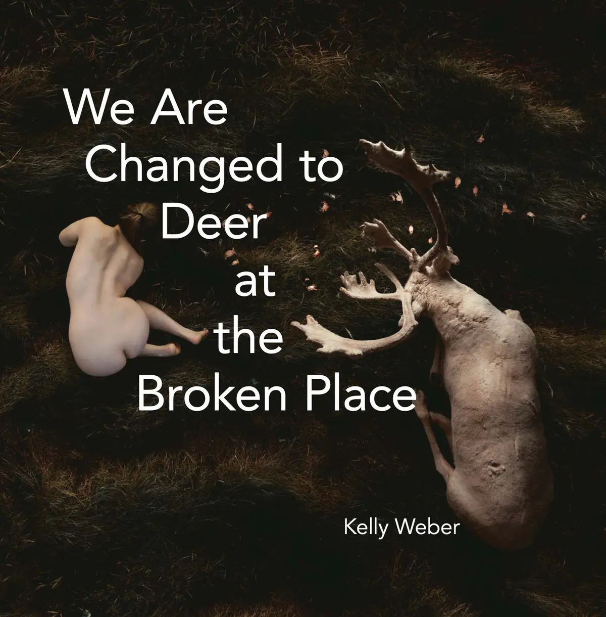 Weber, Kelly: We Are Changed To Deer At The Broken Place 1