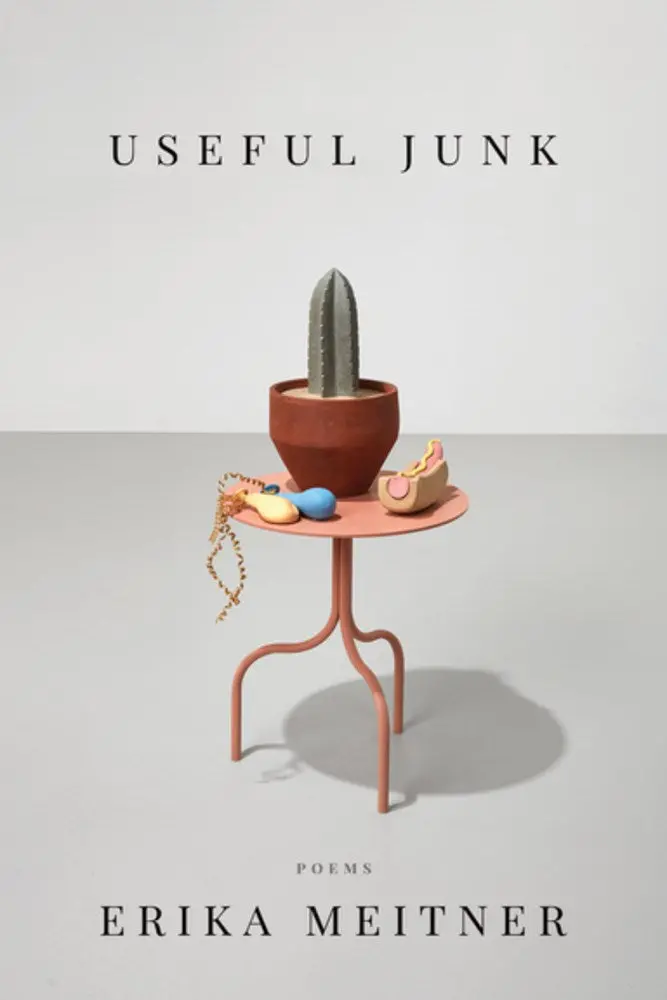 Meitner, Erika: Useful Junk 1