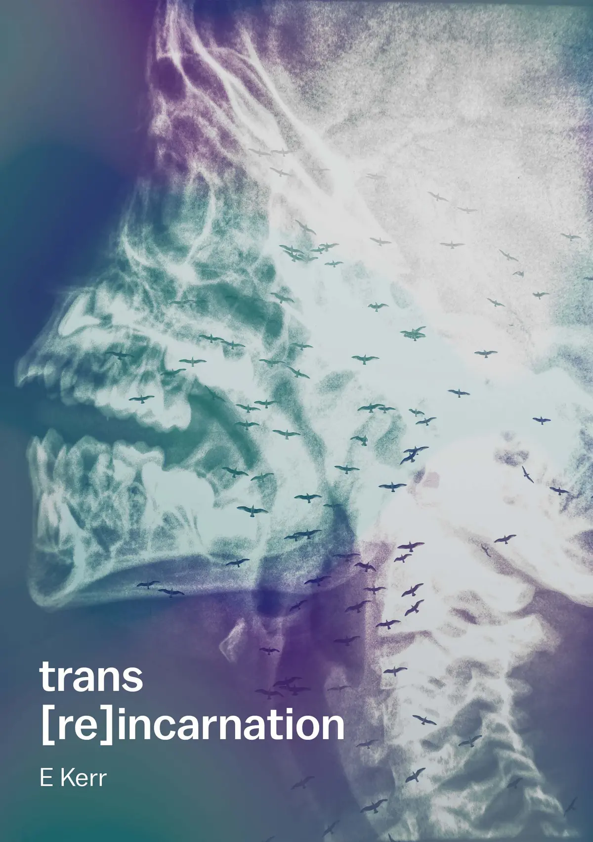Kerr, E.: Trans [Re]Incarnation 1