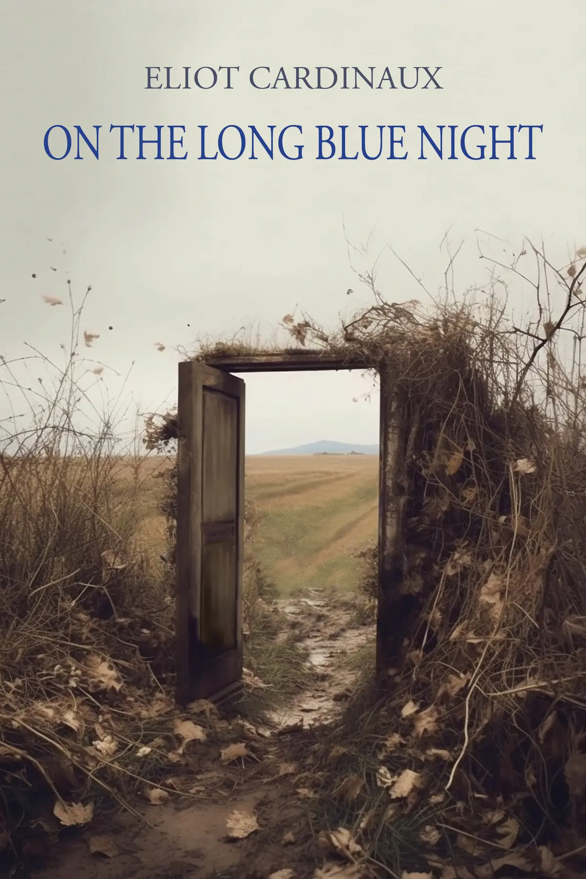 Cardinaux, Eliot: On The Long Blue Night 1
