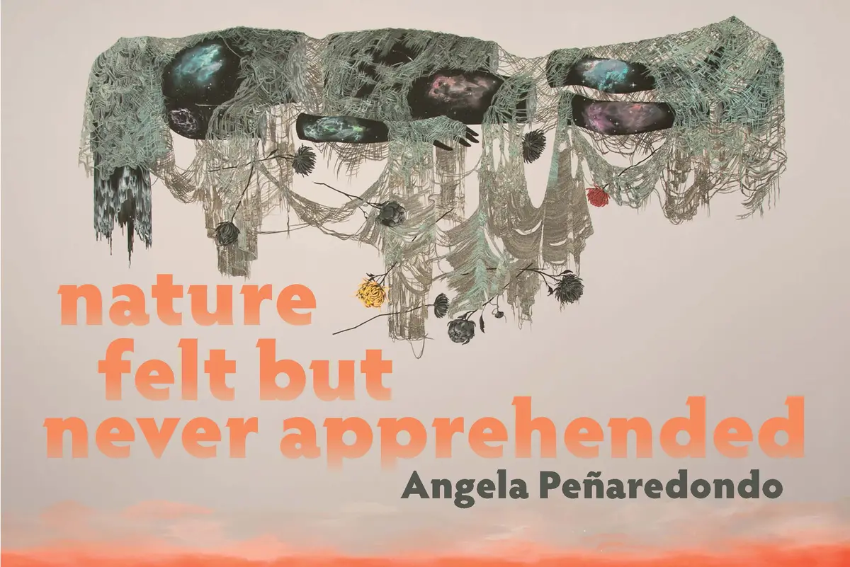 Peñaredondo, Angela: Nature Felt But Never Apprehended 1