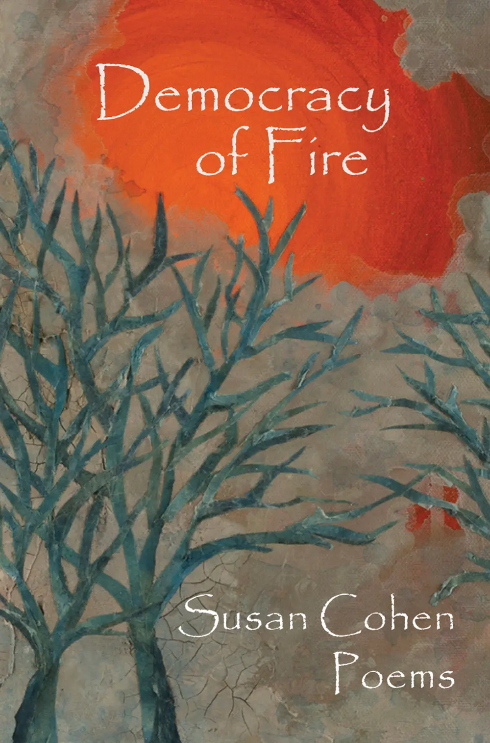 Cohen, Susan: Democracy Of Fire 1