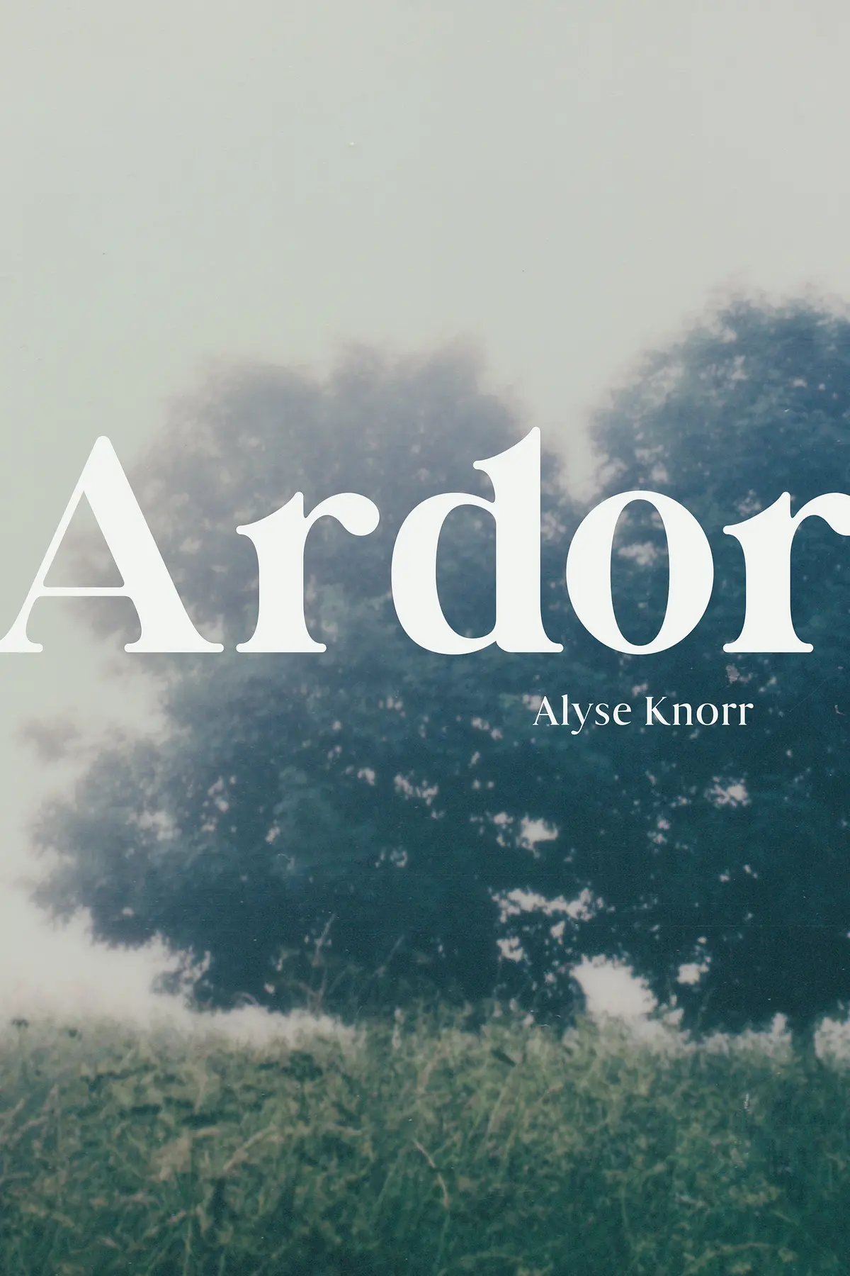 Knorr, Alyse: Ardor 1