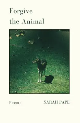Pape, Sarah: Forgive The Animal 1